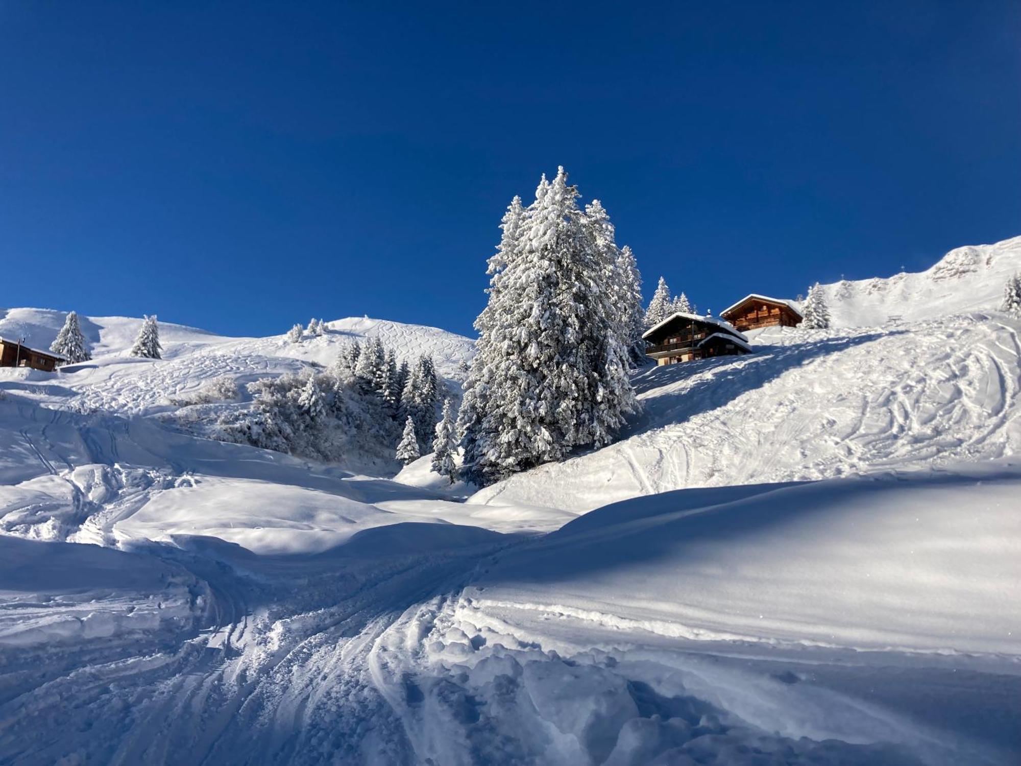 B&B Chalet Rey-Bellet Les Crosets Zewnętrze zdjęcie