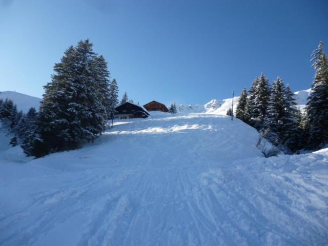 B&B Chalet Rey-Bellet Les Crosets Zewnętrze zdjęcie